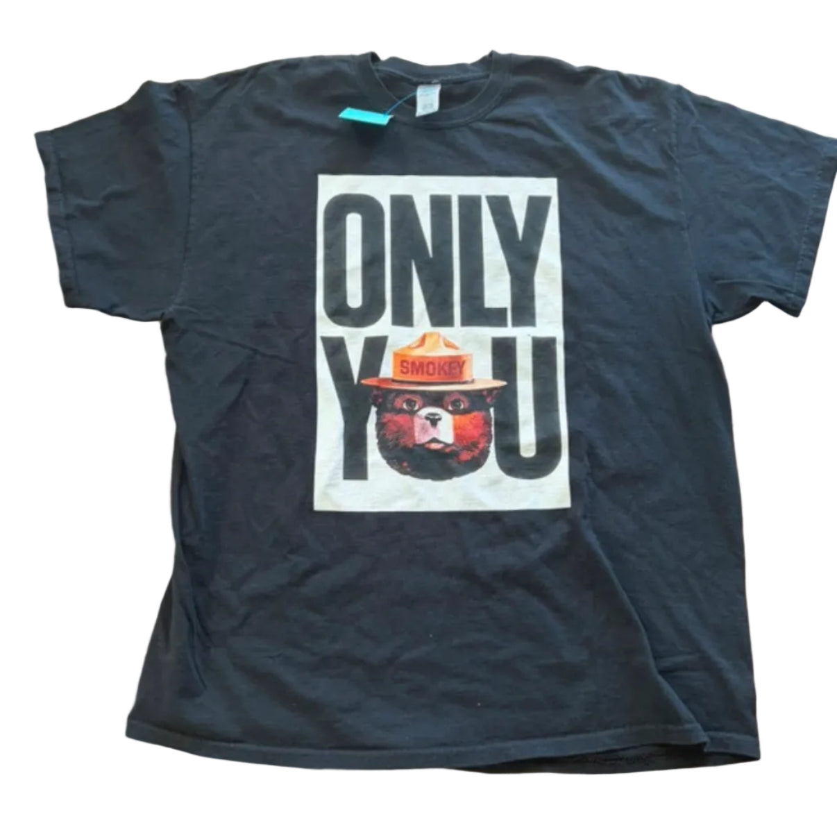 Smokey The Bear “Only You” Thrifted Graphic Tee Size Adult Size X-Large