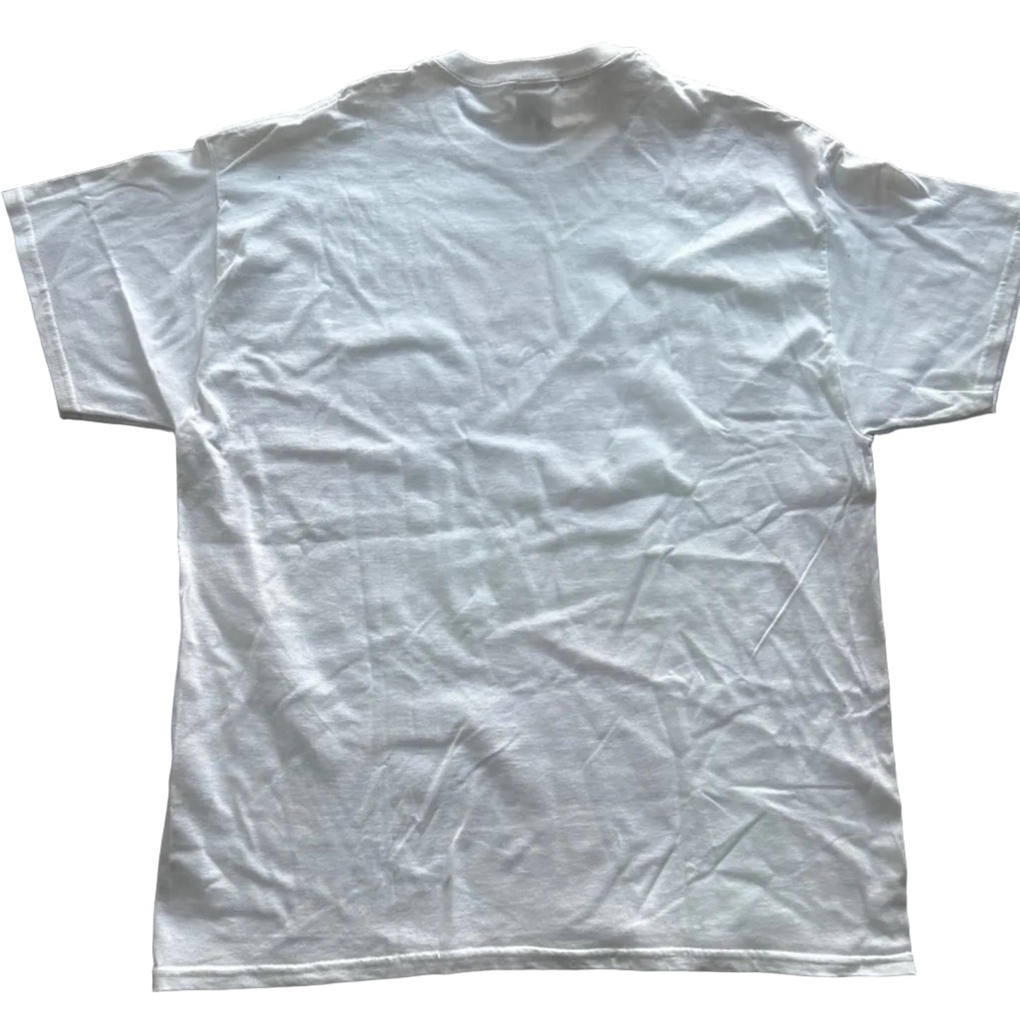 Crazy Pink Bear Thrifted Vintage Graphic Tee Size XL